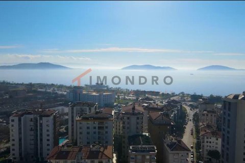 5 bedrooms Apartment in Kien Thuy, Vietnam No. 17824 28