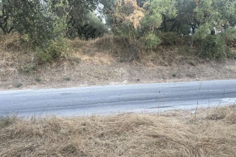 Land in Zakynthos, Greece No. 69566 7