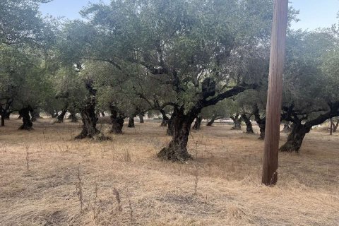 Land in Zakynthos, Greece No. 69566 11