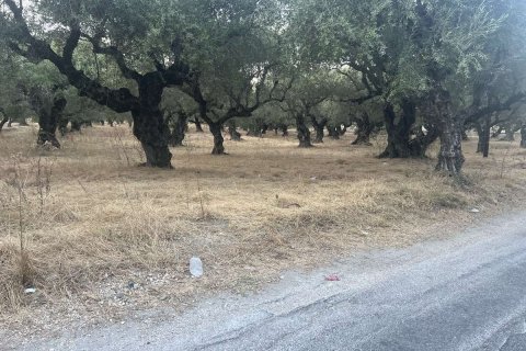 Land in Zakynthos, Greece No. 69566 1