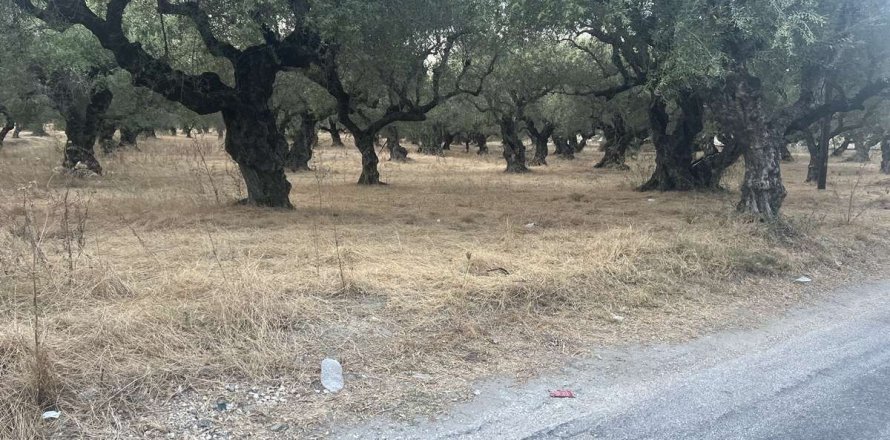 Land in Zakynthos, Greece No. 69566
