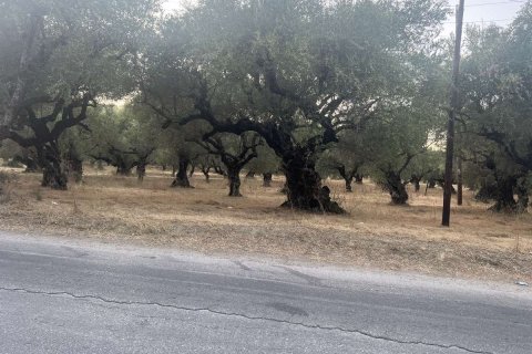 Land in Zakynthos, Greece No. 69566 3