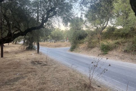 Land in Zakynthos, Greece No. 69566 6