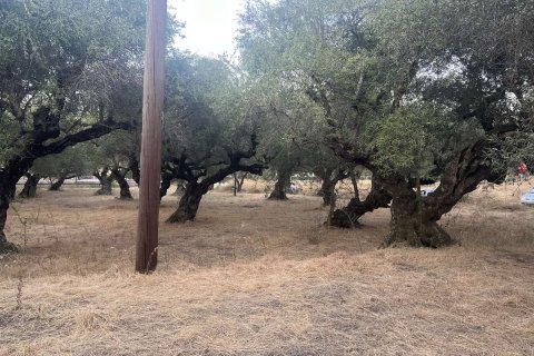 Land in Zakynthos, Greece No. 69566 12