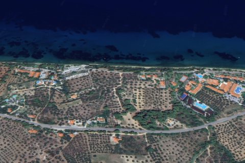 4462m² Land in Chalkidiki, Greece No. 109288 3
