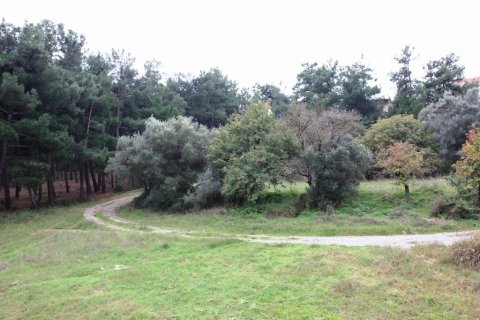 4 bedrooms Maisonette in Thessaloniki, Greece No. 59348 19