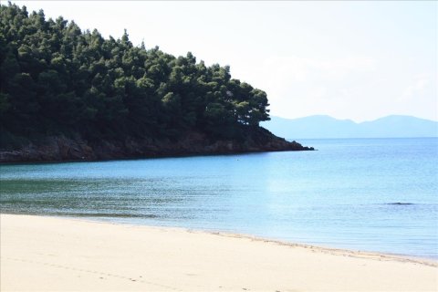 33802m² Land in Chalkidiki, Greece No. 59195 12