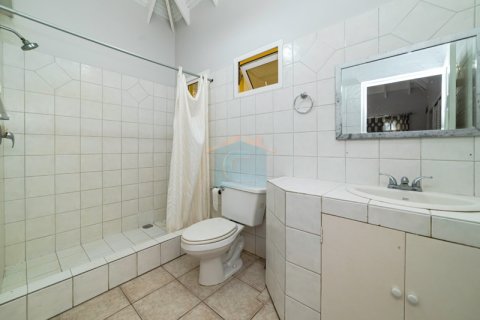 3 bedrooms House in Lance Aux Epines, Grenada No. 80537 13