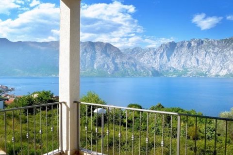3 bedrooms Apartment in Kotor, Montenegro No. 81521 14