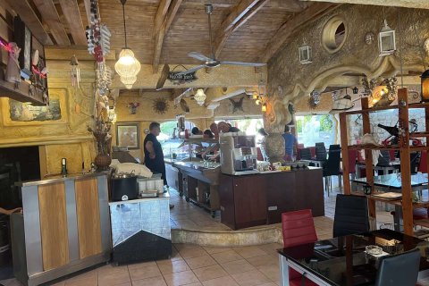 48 chambres Hotel à Zakynthos, Greece No. 69601 21