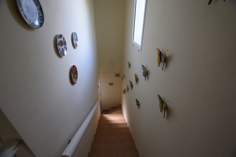 5 bedrooms Villa in Nam Xay, Vietnam No. 85626 19