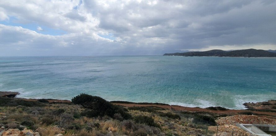 13569m² Land à Agios Nikolaos, Greece No. 56086