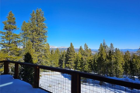 Дом с 3 спальнями в Фэрплей, США №104622 27