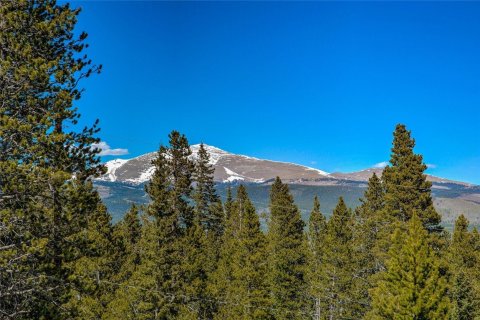 Дом с 3 спальнями в Фэрплей, США №104622 23