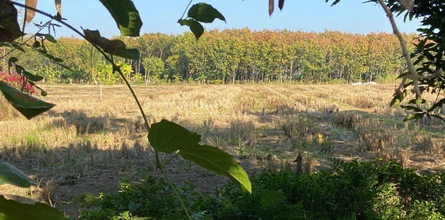 Land en Chiang Mai, Thailand No. 97668