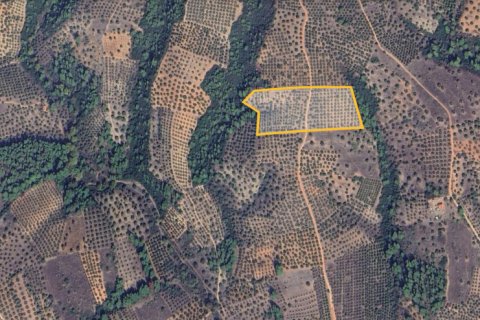 27000m² Land in Chalkidiki, Greece No. 108506 4