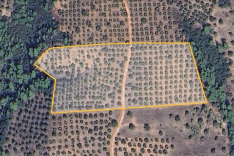 27000m² Land in Chalkidiki, Greece No. 108506 2