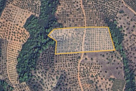 27000m² Land in Chalkidiki, Greece No. 108506 3