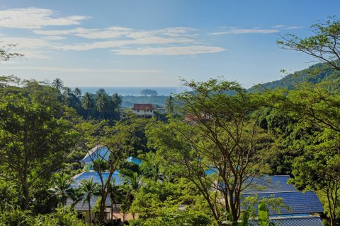 3 chambres Villa à Phuket, Thailand No. 76696 15