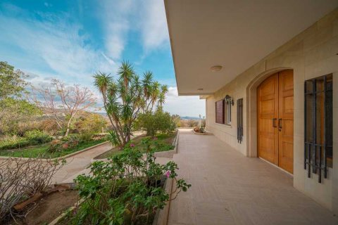 6 bedrooms House in Agios Athanasios, Cyprus No. 30625 8