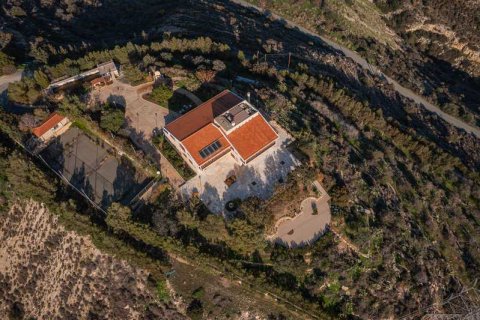 6 bedrooms House in Agios Athanasios, Cyprus No. 30625 5