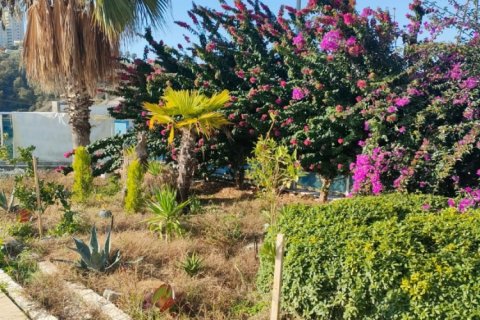 4 bedrooms Villa in Lien Chieu, Vietnam No. 14558 6