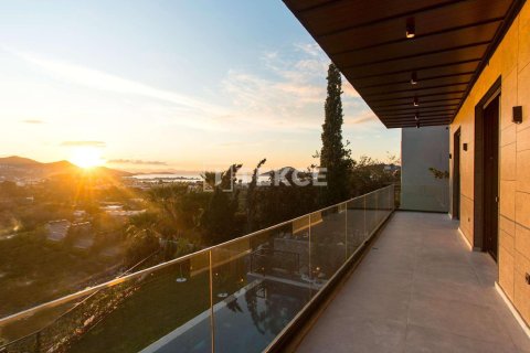 5 bedrooms Villa in Phi Dien, Vietnam No. 91106 12