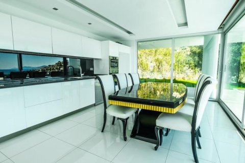 6 rooms Villa à Chau Lang, Vietnam No. 21782 13