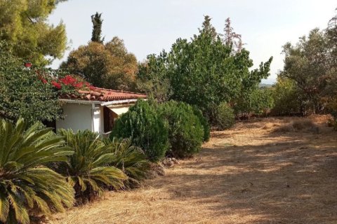 Дом с 5 спальнями в Эвбея, Греция №55101 22