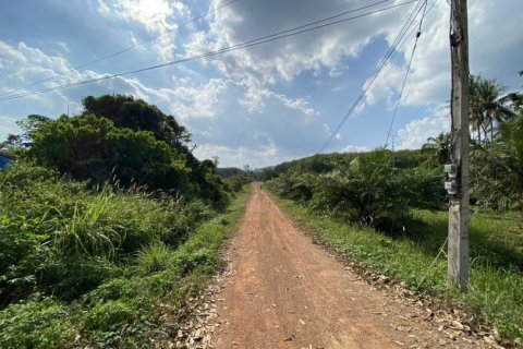 Land in Krabi, Thailand No. 97555 4