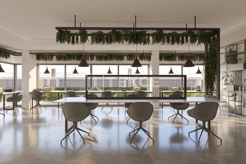 2 dormitorios Penthouse en Chau Lang, Vietnam No. 21966 5