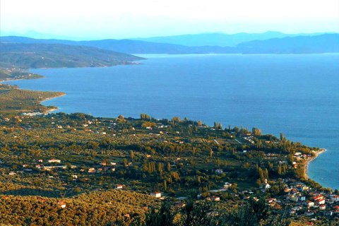 4000m² Land in Koropi, Greece No. 59055 1