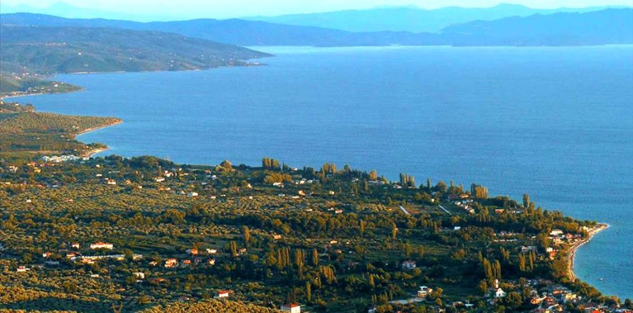 4000m² Land in Koropi, Greece No. 59055