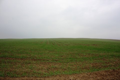 Земельный участок 9160м² в Салоники, Греция №122935 2