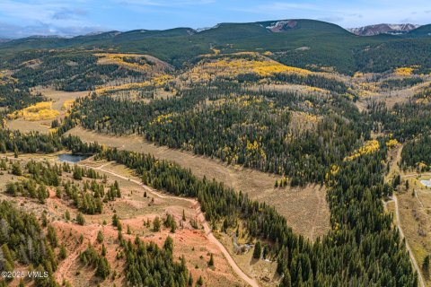 16.12m² Land in Gypsum, USA No. 104557 24