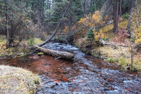 16.12m² Land in Gypsum, USA No. 104557 26