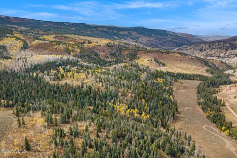 16.12m² Land in Gypsum, USA No. 104557 22