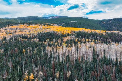 16.12m² Land in Gypsum, USA No. 104557 27