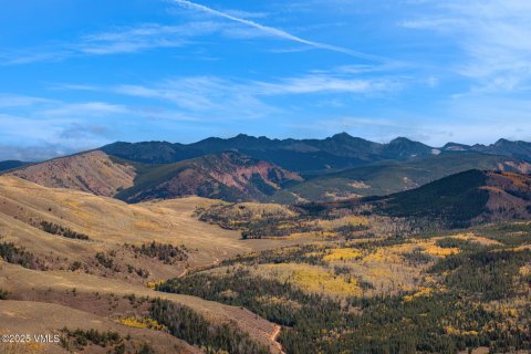 16.12m² Land in Gypsum, USA No. 104557 6