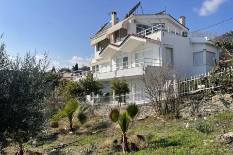 Вилла с 11 комнатами в Кавала, Греция №108463 28