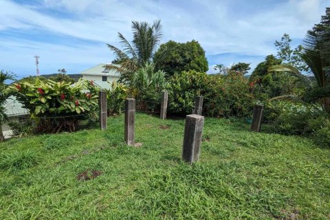 3 bedrooms Bungalow in Morne Prosper, Dominica No. 66238 25