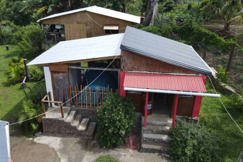 3 bedrooms Bungalow in Morne Prosper, Dominica No. 66238 29