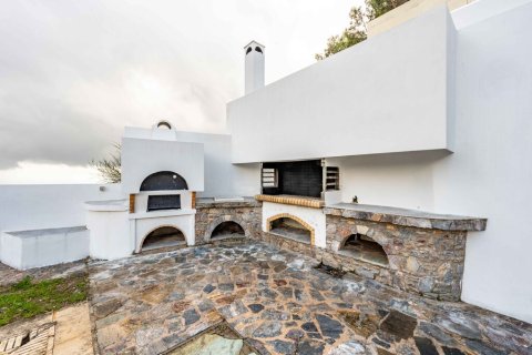 462m² Villa in Pikermi, Greece No. 124104 7
