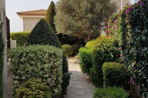 3 chambres House à Pegeia, Cyprus No. 39504 5