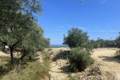 Land in Zakynthos, Greece No. 69508 8