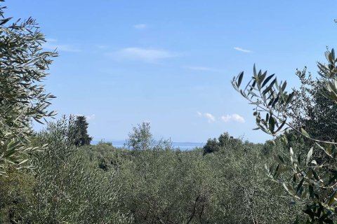 Land in Zakynthos, Greece No. 69508 3