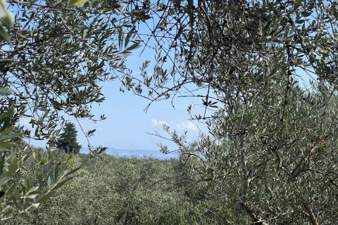 Land in Zakynthos, Greece No. 69508 4