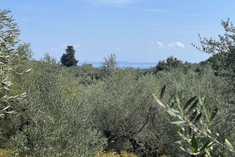 Land in Zakynthos, Greece No. 69508 7