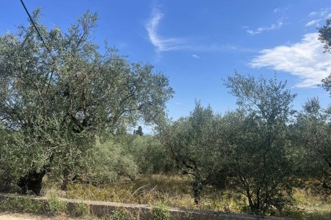 Land in Zakynthos, Greece No. 69508 5