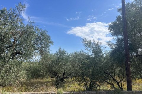 Land in Zakynthos, Greece No. 69508 2